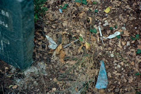"plane - train - woman - sanatorium - cemetery" (Russland - Ukraine, 2013)
