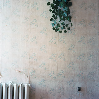 "Rooms without comfort" (Ukraine, 2011)